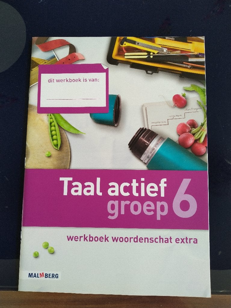 Taal Actief - Groep 6 - Werkboek Woordenschat Extra (NIEUW)., Ophalen of Verzenden, Nieuw, Overige niveaus, Nederlands