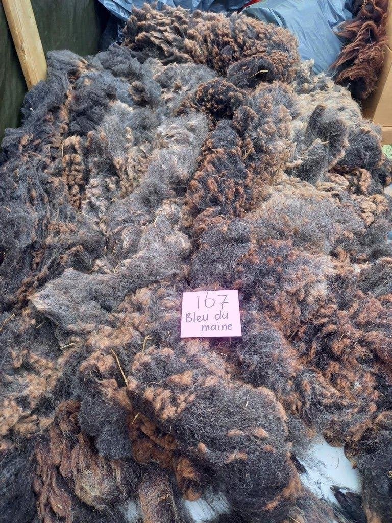 nr 167 Geschoren vacht van Bleu du Maine schaap, Ophalen of Verzenden, Gebruikt