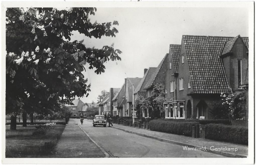 Warnsveld, Gerstekamp, Verzenden, 1940 tot 1960, Ongelopen, Gelderland