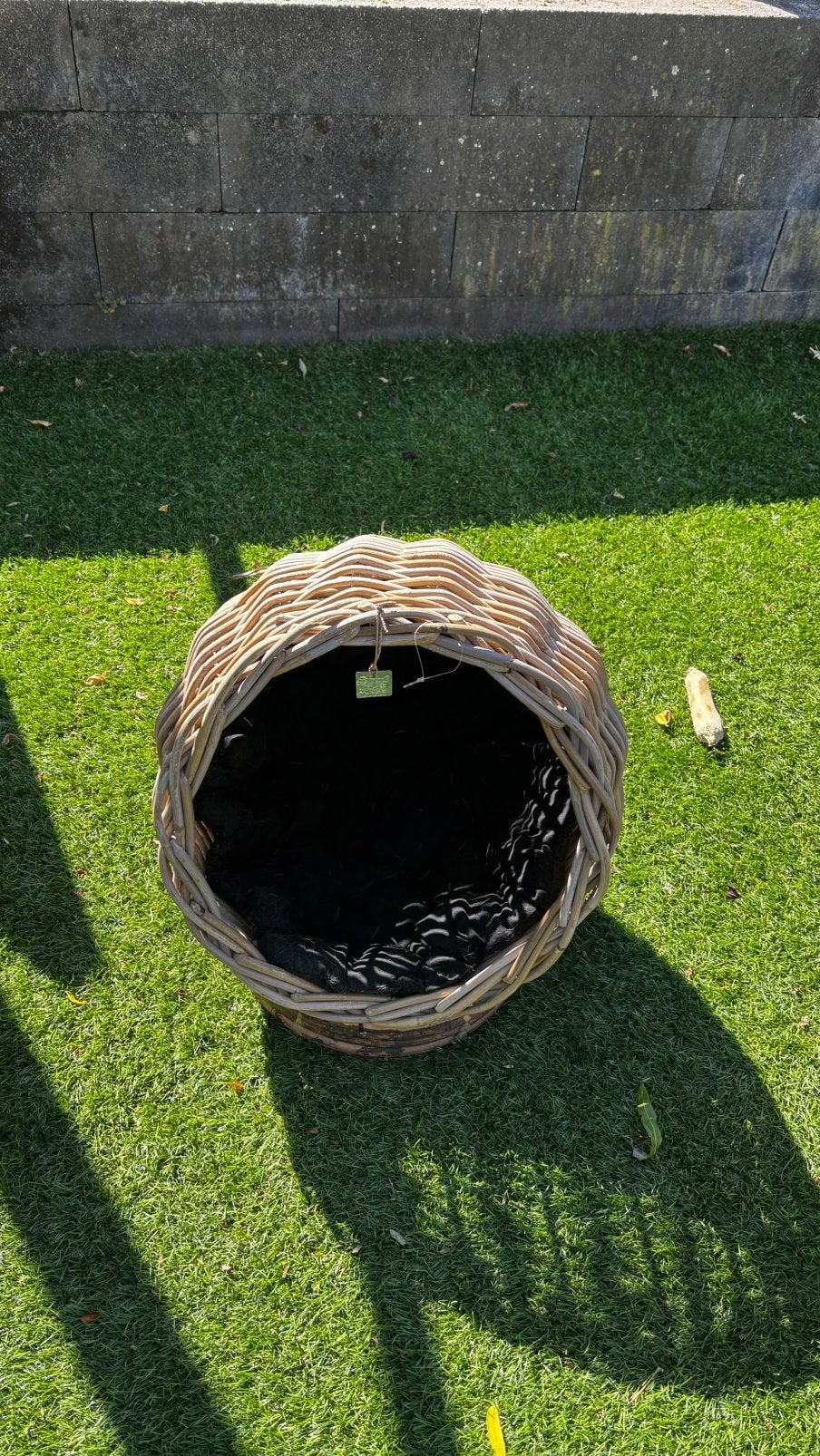 Kattenmandje, Dieren en Toebehoren, Ophalen, Riet