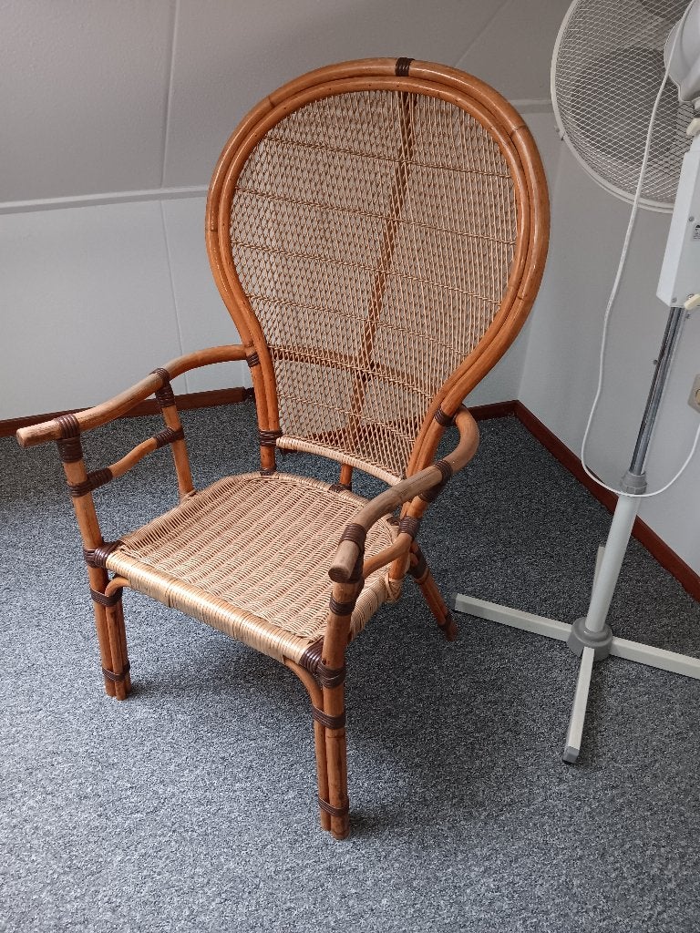 Pauwstoel, Ophalen, Riet of Rotan, Zo goed als nieuw, Eén