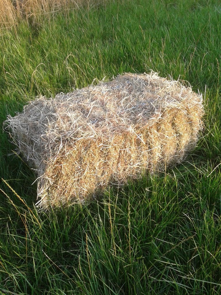 Super kwaliteit hooi, 1ste snede, gratis thuisbezorgd!, Dieren en Toebehoren, Dierenvoeding, Verzenden, Overige soorten