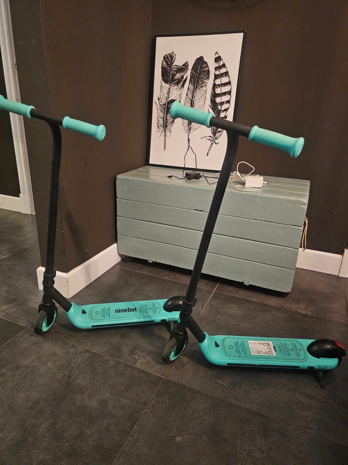 2 segway ninebot zing a6 ekickscooter voor kinderen - Zo goe, Ophalen, Zo goed als nieuw, Elektrische step (E-scooter)
