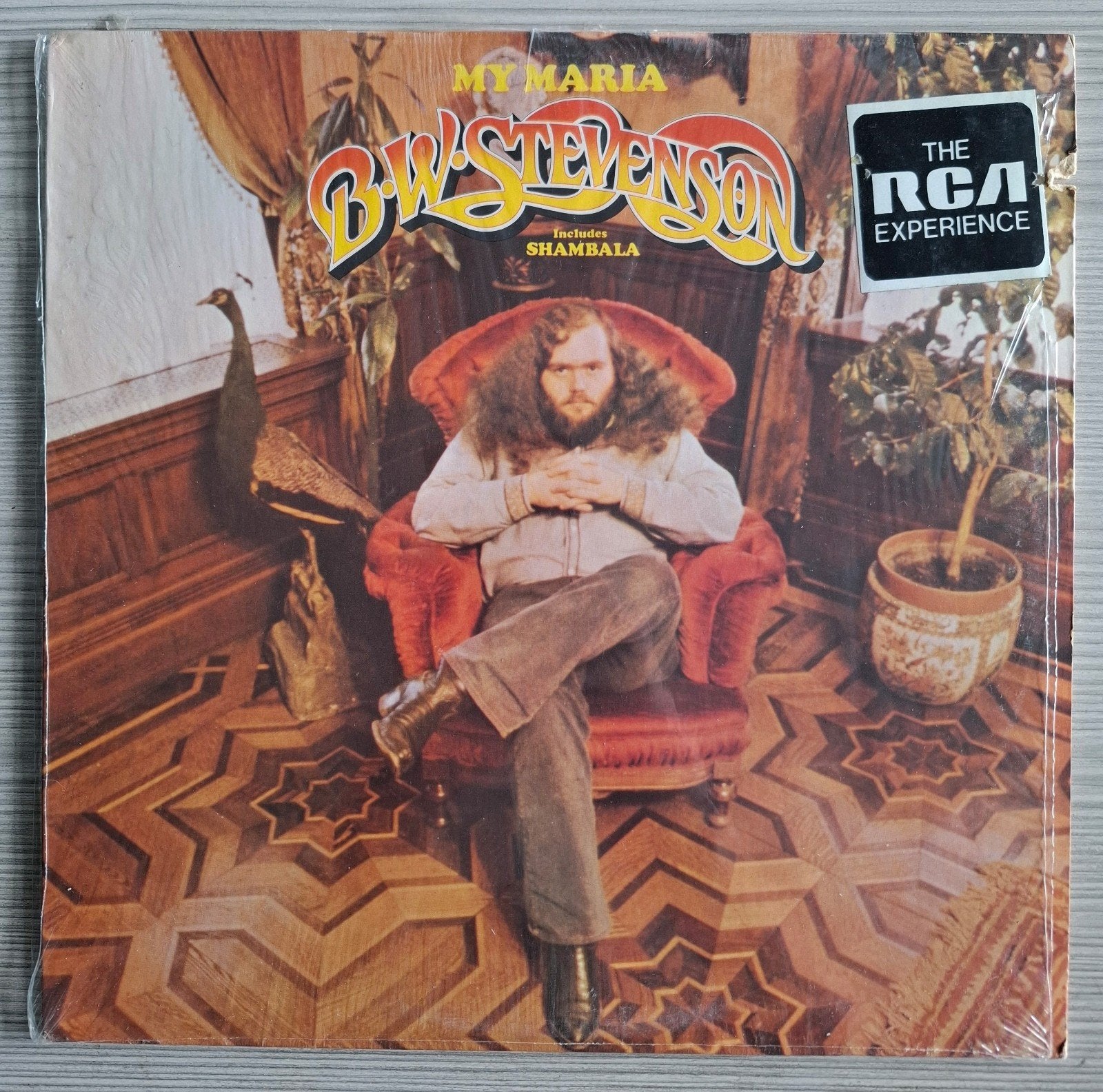 B.W. Stevenson - My Maria. LP, Gebruikt, Fotohoes, Ophalen of Verzenden, 1970 - 1979