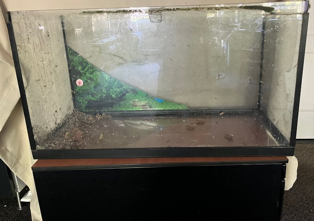 Aquarium 80x34x44, Dieren en Toebehoren, Vissen | Aquaria en Toebehoren, Ophalen, Leeg aquarium
