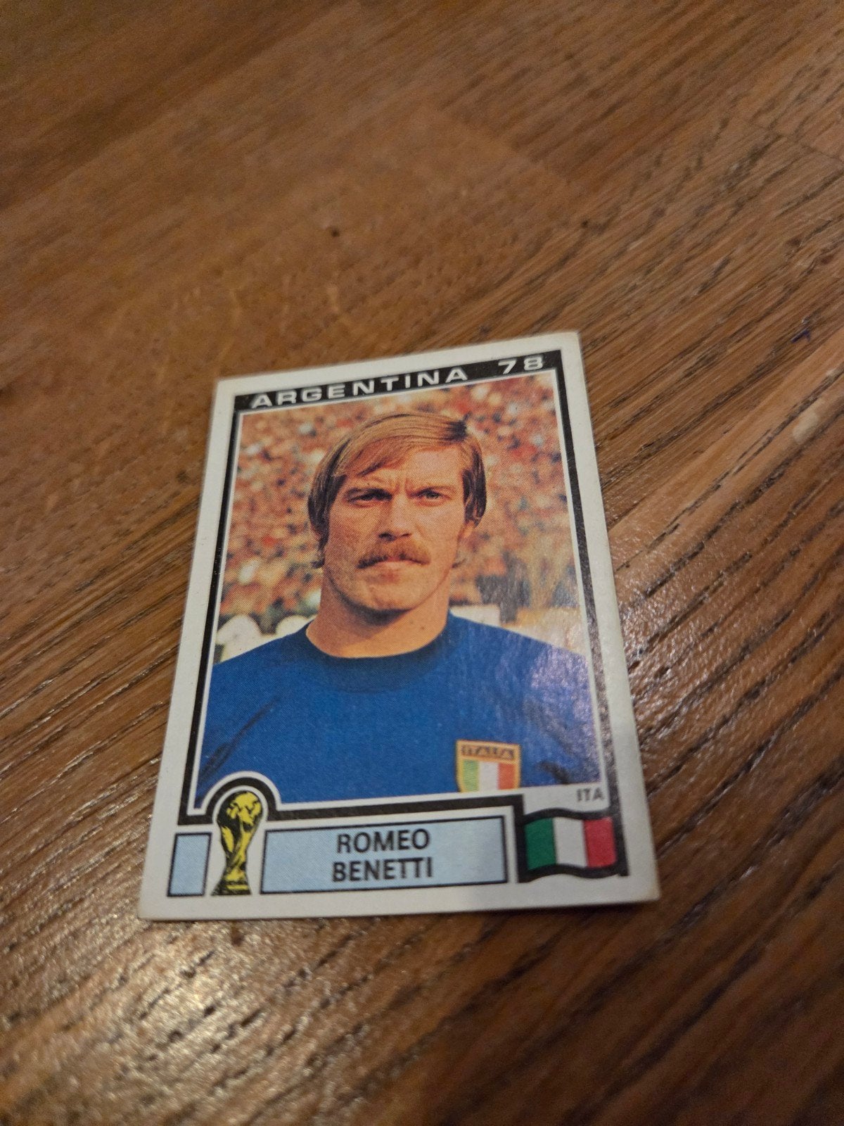 Panini WK 78, Verzamelen, Ophalen of Verzenden, Zo goed als nieuw, Buitenlandse clubs, Poster, Plaatje of Sticker