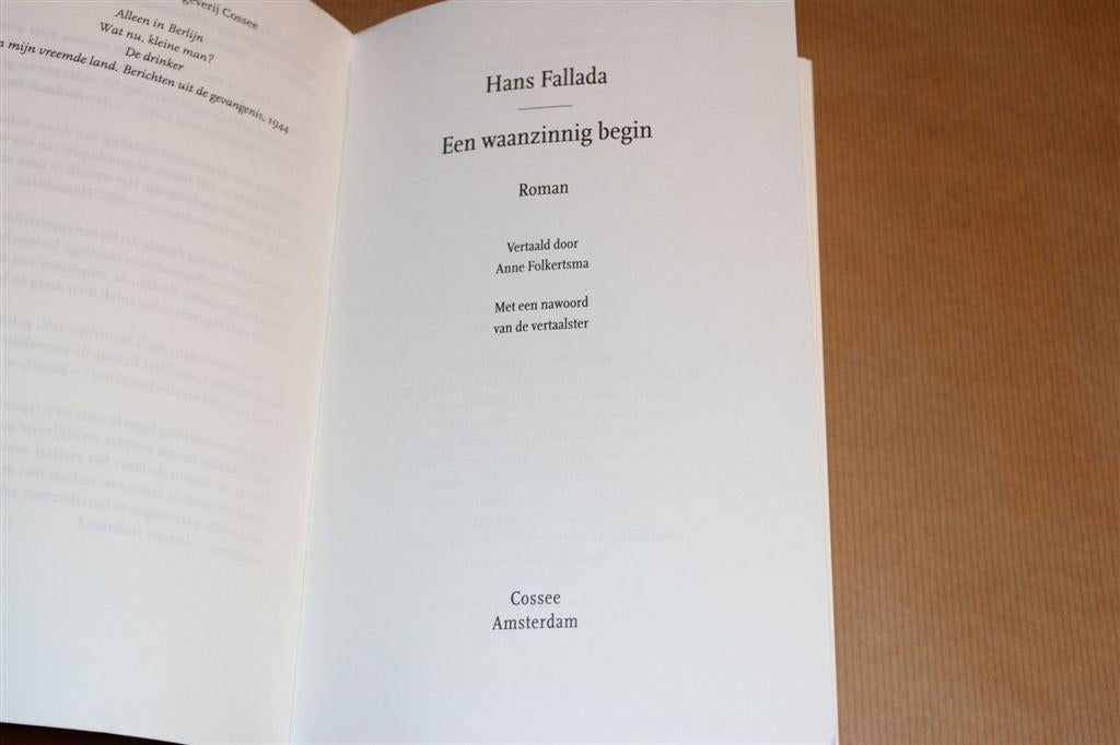 Een Waanzinnig Begin — Fallada — Duitsland na WO1, Ophalen of Verzenden, Gelezen