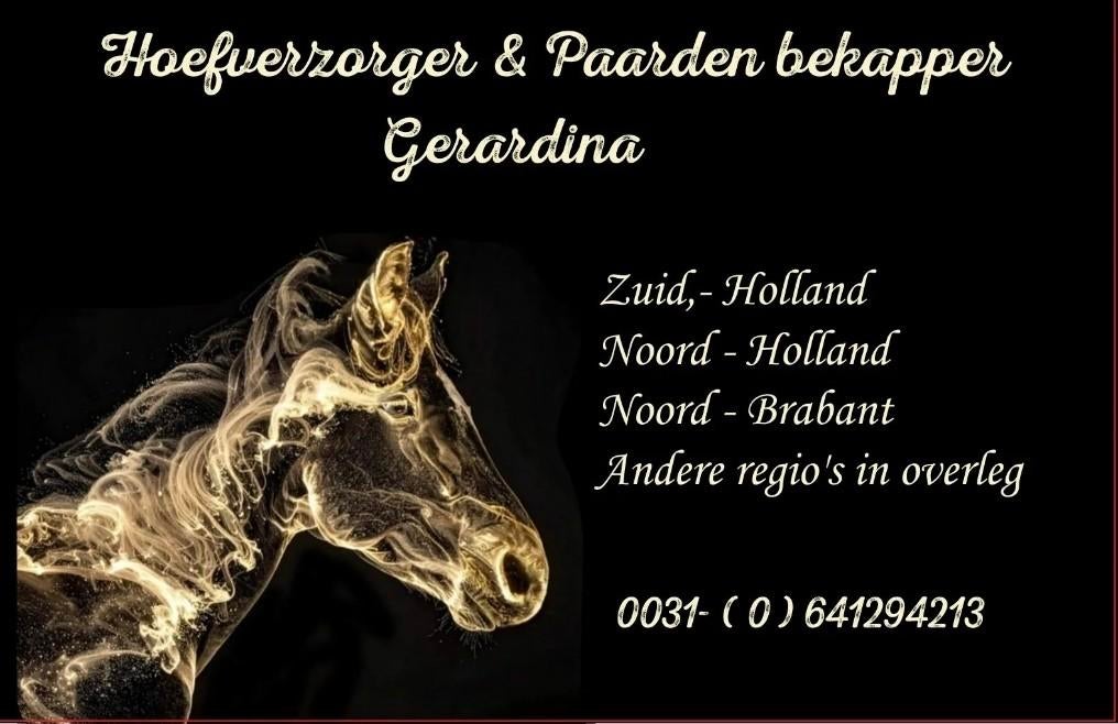 Hoefverzorger & Paarden bekapper, Diensten en Vakmensen, Dieren | Paarden | Verzorging, Oppas en Les
