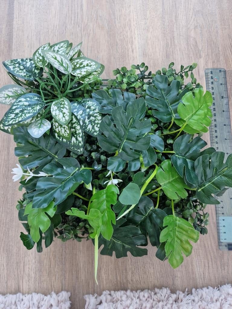 Terrarium wanddecoratie planten 30x30 cm – klimmogelijkheid, Dieren en Toebehoren, Reptielen en Amfibieën | Toebehoren, Ophalen