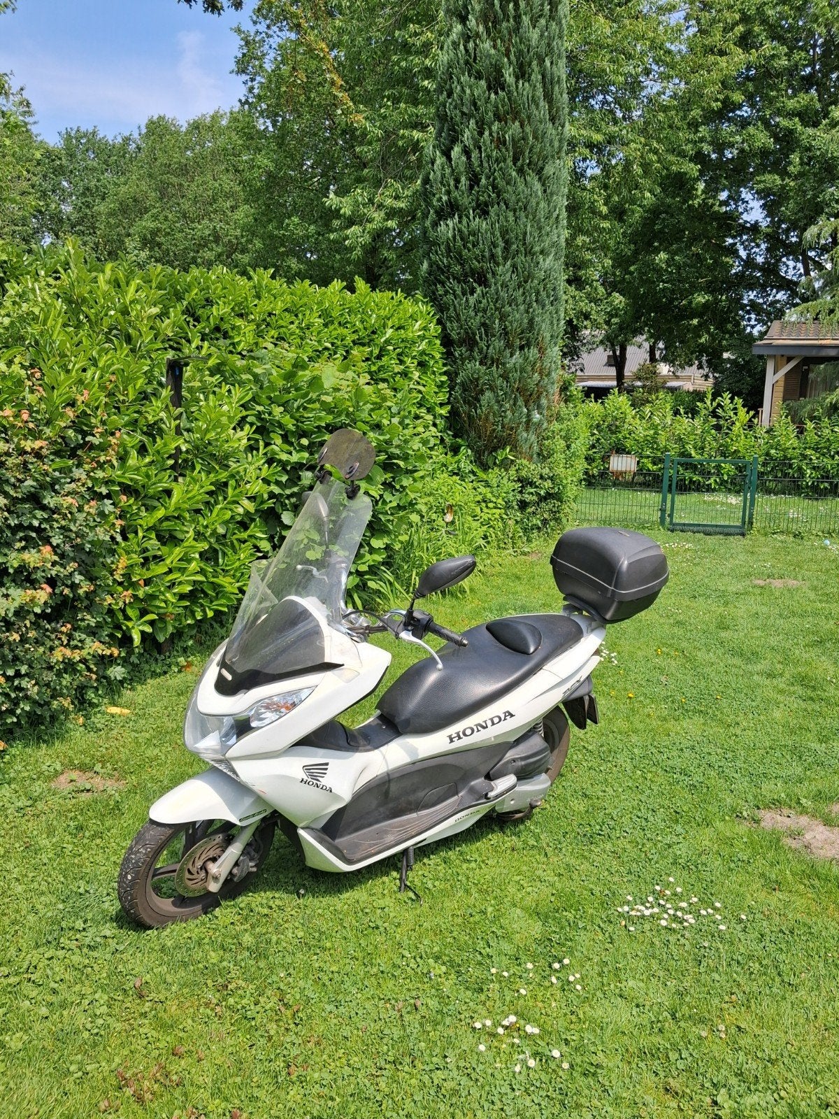 Honda 125 pcx, Ophalen of Verzenden