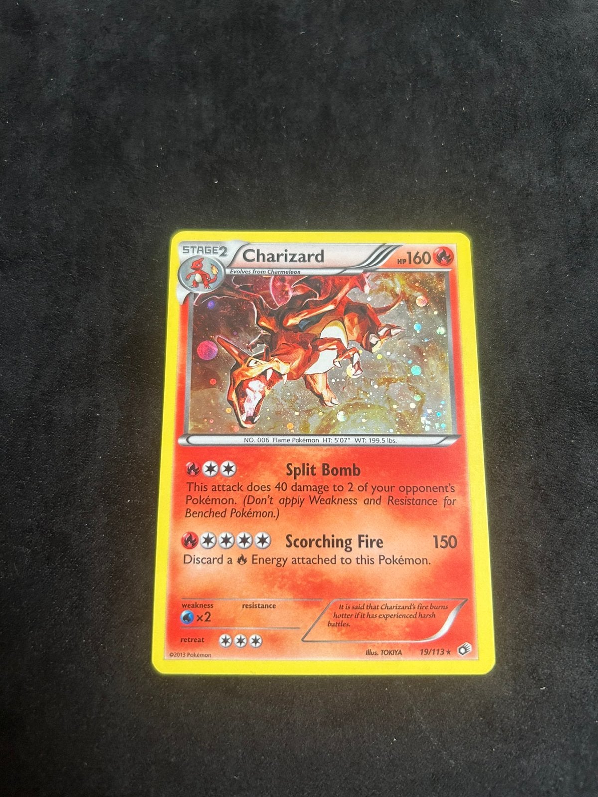 Mooie Zard