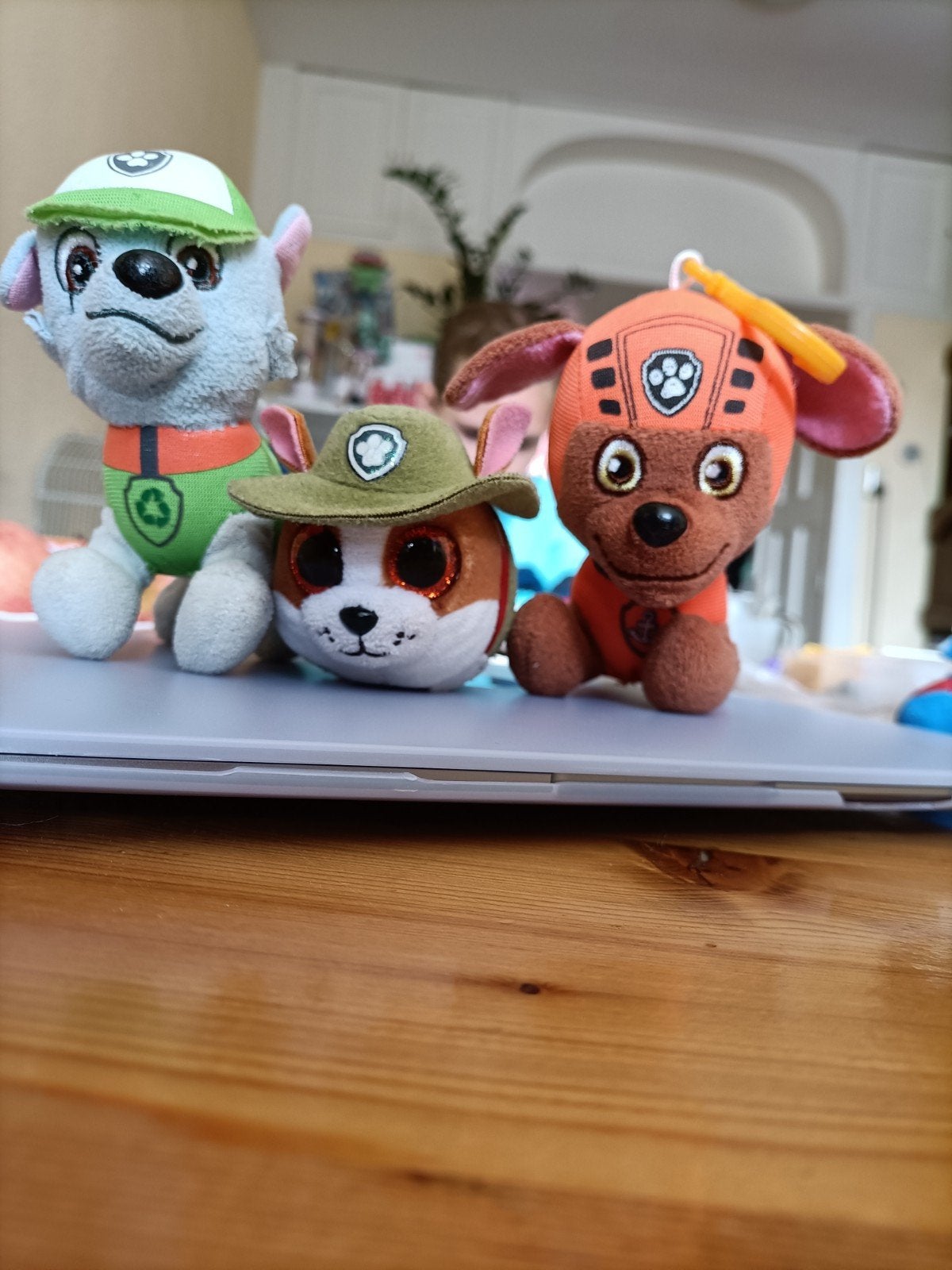 Paw Patrol knuffels - Rocky, Tracker, Zuma, Kinderen en Baby's, Gebruikt, Meerkleurig, Klein (minder dan 20 cm), Paw Patrol