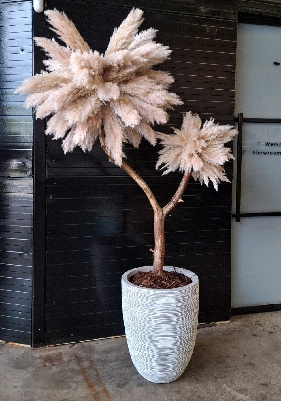 Grote pampas boom incl pot (AFGEPRIJSD), Huis en Inrichting, Woonaccessoires | Kunstplanten en Kunstbloemen, Binnen, Natuurlijk materiaal