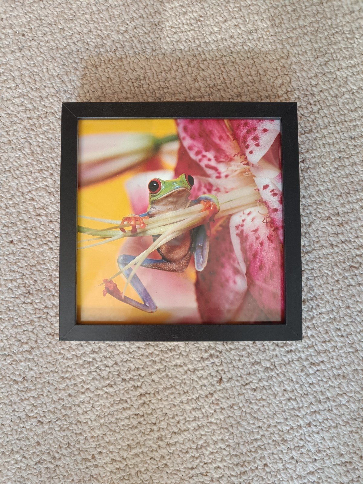 Gratis fotolijst zwart 23x23 6 stuks, Ophalen, 23 cm, 23 cm, Zo goed als nieuw