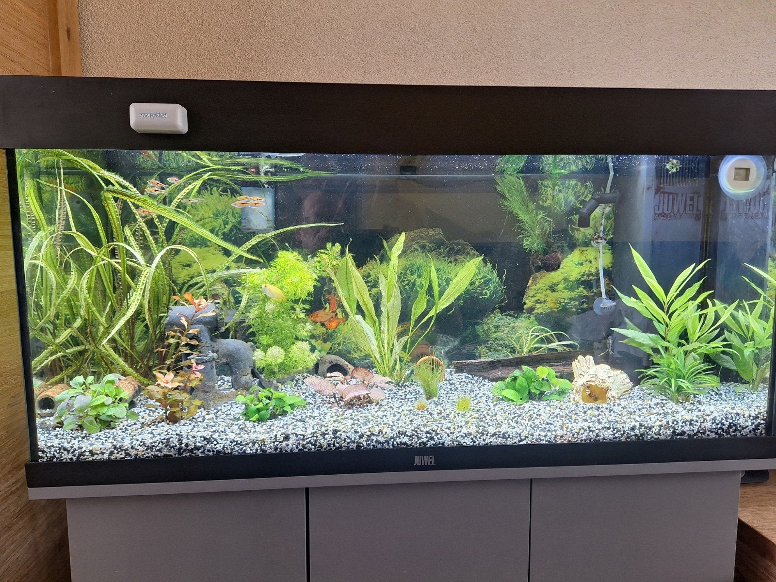 Juwel Rio 180 aquarium met meubel, Ophalen, Gebruikt, Juwel
