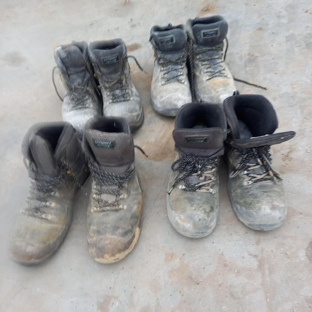 GRISPORTsWerkschoenen Maten 44, 45 en 46, Ophalen of Verzenden, Gebruikt