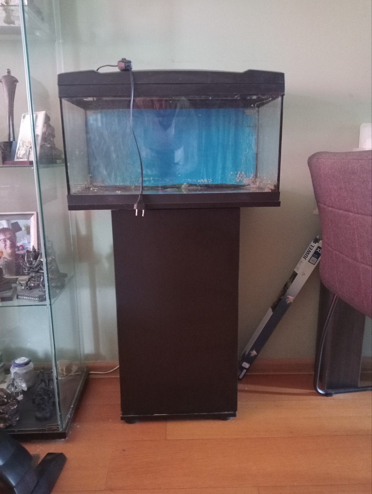 aquarium, Dieren en Toebehoren, Vissen | Aquaria en Toebehoren, Ophalen, Zo goed als nieuw, Leeg aquarium