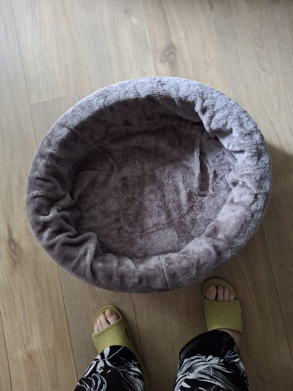 Honden mand nieuw, Ophalen