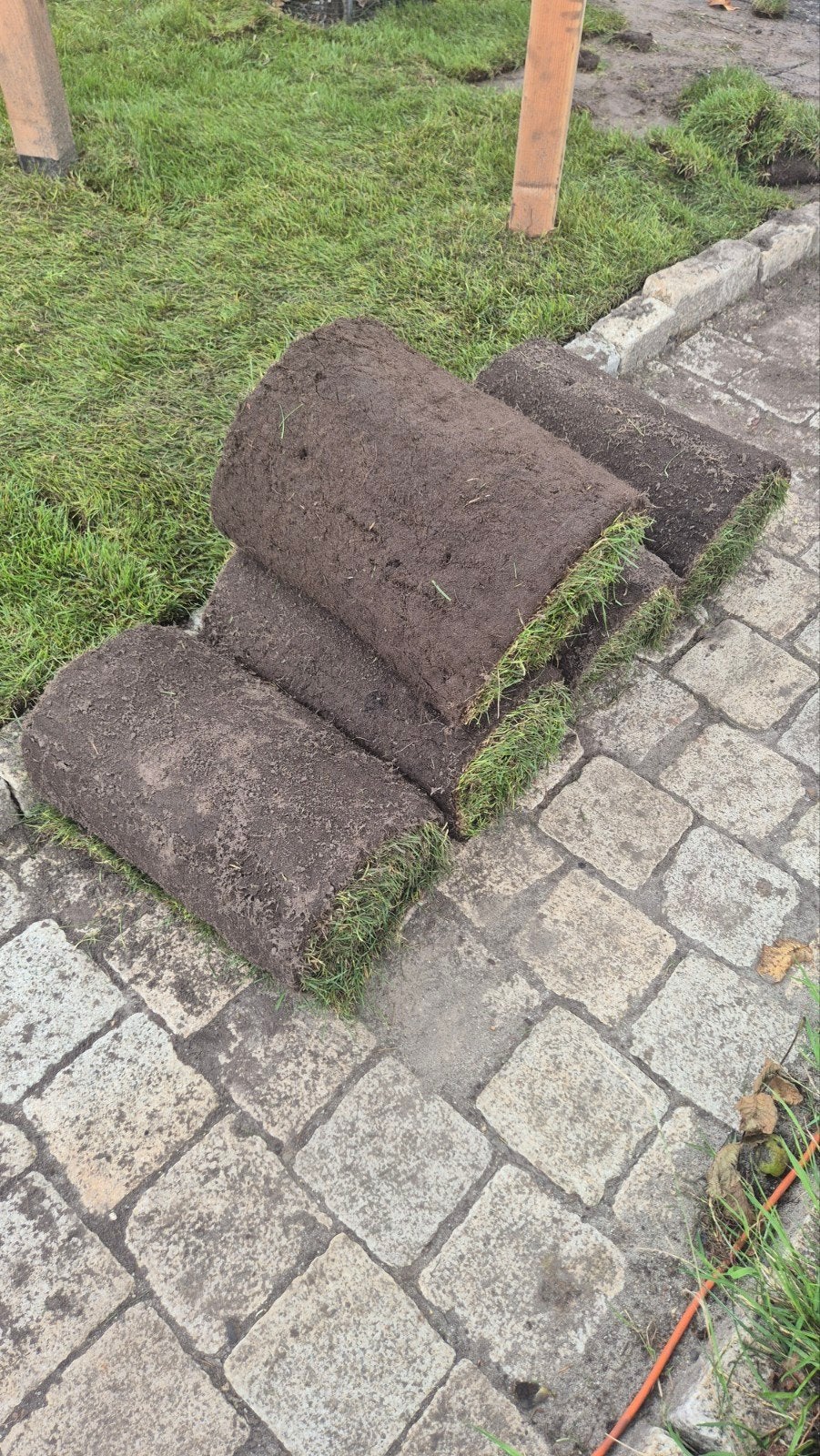 18 m2 bemest speelgazon, Tuin en Terras, Ophalen, Nieuw, 10 tot 20 m², Gras