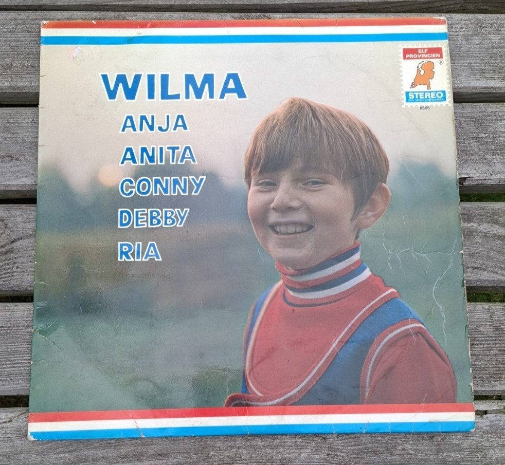 lp nederlands  Wilma Anja Anita Conny Debby Ria., Ophalen of Verzenden, Gebruikt, 12 inch, Levenslied of Smartlap