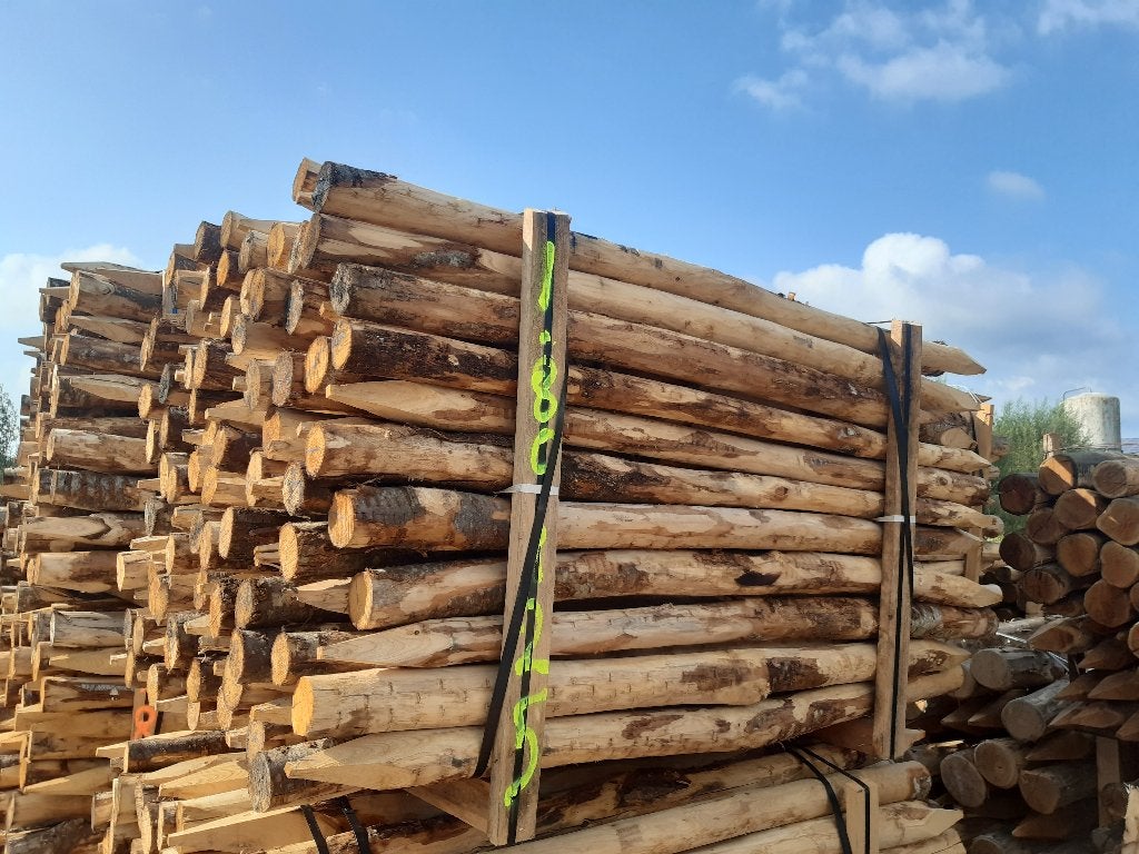 Kastanjehouten palen, heiningpalen, 200cm lang , 8/10cm dik, Ophalen, Nieuw, 180 tot 250 cm, Palen
