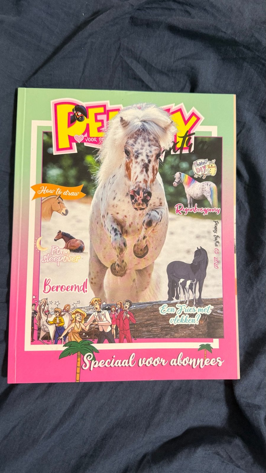 Penny Zomerboeken en Spetter Stripboek - Paardenboeken, Ophalen of Verzenden, Gelezen, Fictie