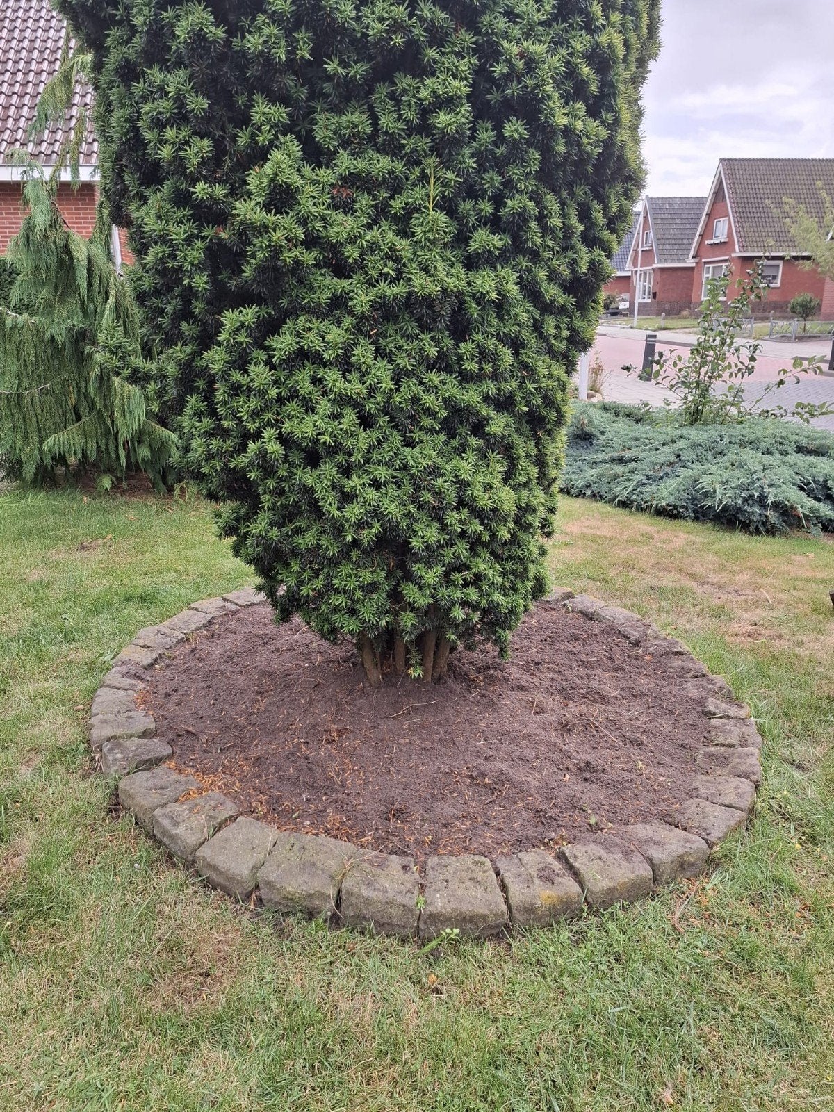 Natuurstenen borderblokken (lavasteen) voor tuin of perk, Ophalen, Gebruikt, Natuursteen, Minder dan 25 cm