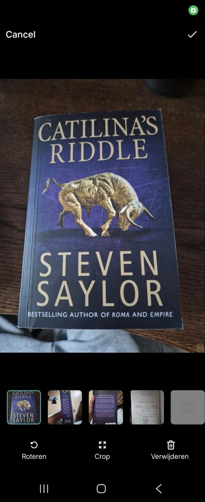 Catilina's Riddle - Steven Saylor (Engels), Ophalen of Verzenden, Zo goed als nieuw, Steven Saylor, Europa overig