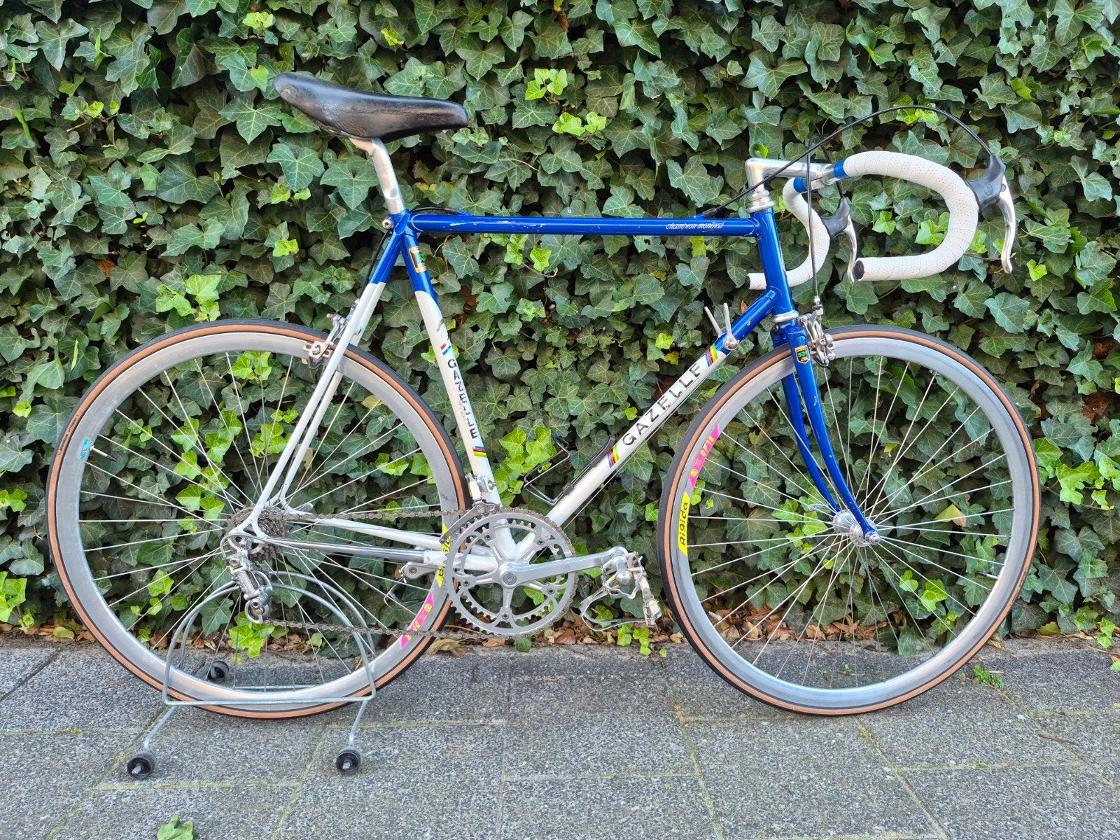 Gazelle champion mondial / Campagnolo / Mavic / frame 59cm, Fietsen en Brommers, Ophalen, 28 inch, Gebruikt, Velgrem