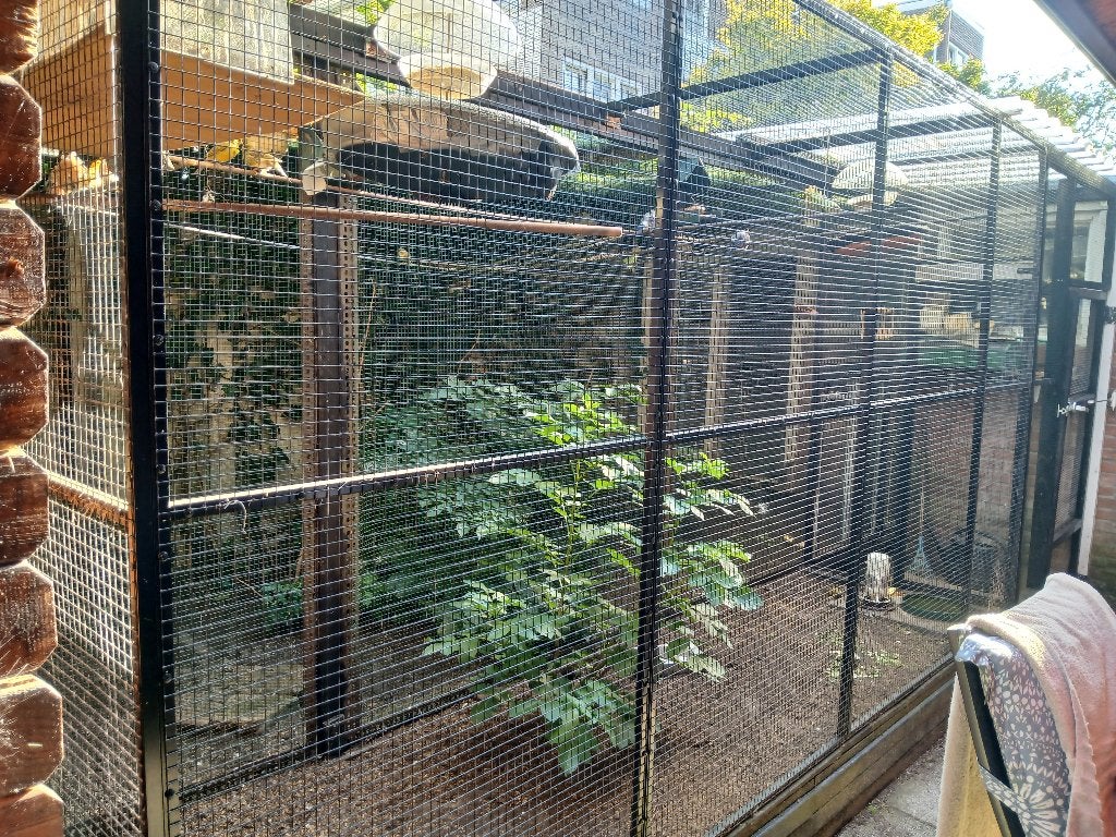 Voliere incl. vogels, Dieren en Toebehoren, Ophalen, Gebruikt, Aluminium, Volière