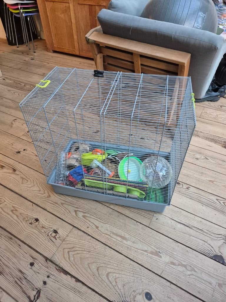 Rattenkooi met attributen, Ophalen, Kooi, Gebruikt, Chinchilla