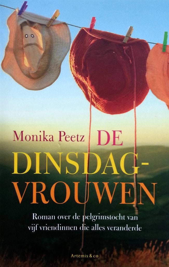 Monika Peetz - De Dinsdagvrouwen, Boeken, Ophalen of Verzenden, Gelezen, Europa overig