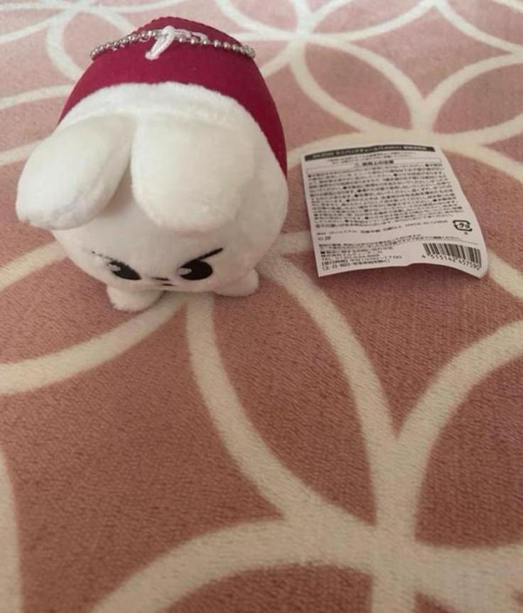 Stray Kids SKZOO Leebit bag charm plush, Ophalen of Verzenden, Nieuw, Foto of Kaart