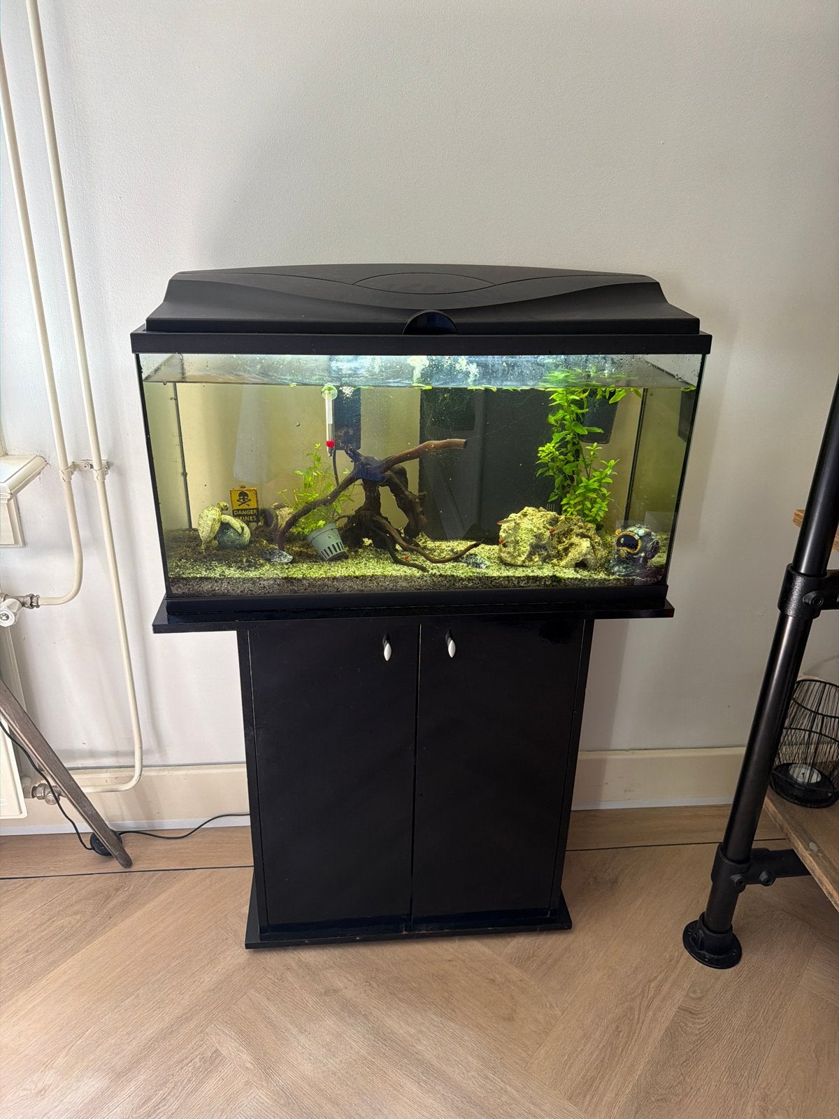 Aquarium incl 6 vissen en Pleco, Ophalen, Gevuld zoetwateraquarium