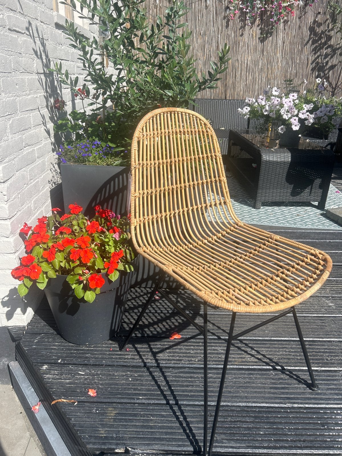 Livingham rotan stoel - Nieuw, Tuin en Terras, Tuinstoelen, Ophalen of Verzenden, Nieuw, Rotan