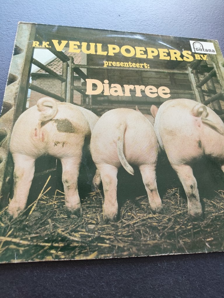 R.K. Veulpoepers b.v. presenteert Diarree in nette staat, Ophalen of Verzenden, Zo goed als nieuw, 12 inch