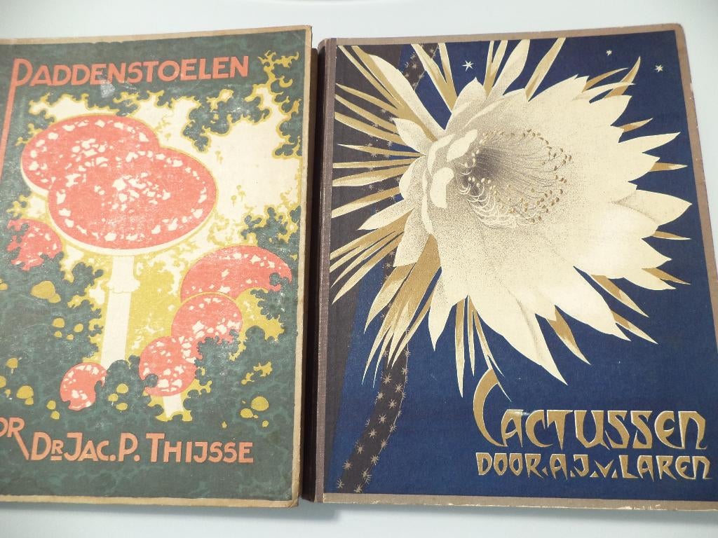 1929 Paddenstoelen &1931 Cactussen 2x Verkade Zaandam albums, Ophalen of Verzenden, Gelezen, Natuurwetenschap