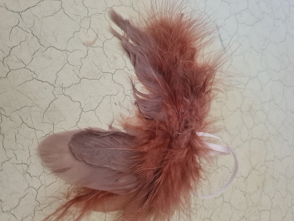 Nieuwe vleugels met echte veren p/st 1.50, Diversen, Heikant 21 Kaatsheuvel, Belle Vieille Brocante, Nieuw, Ophalen of Verzenden