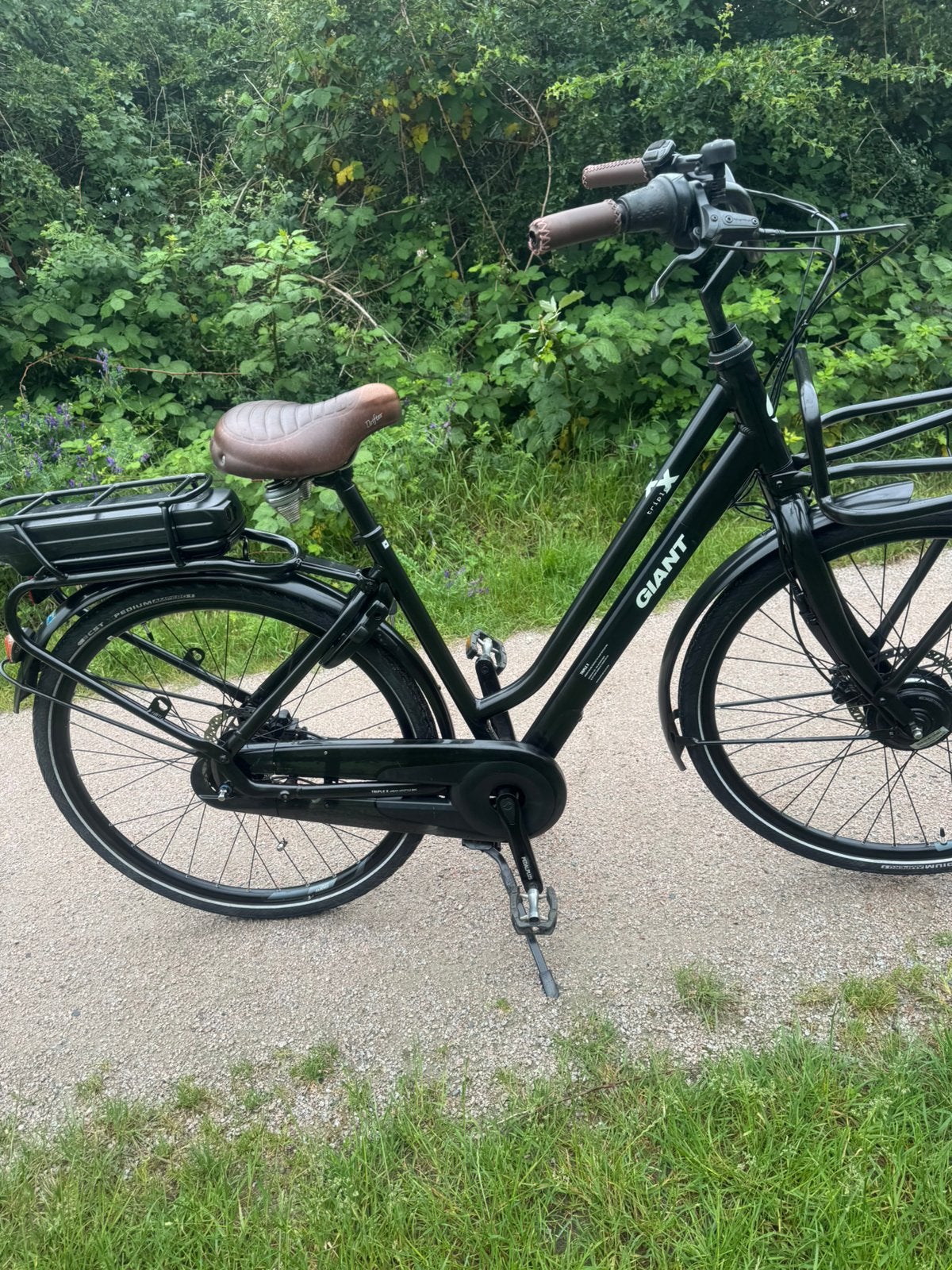 Elektrisch fiets giant triple x, Fietsen en Brommers, Ophalen, Zo goed als nieuw