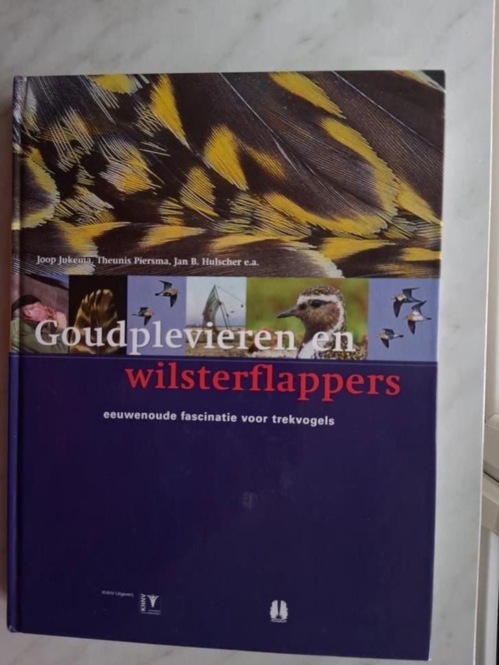 Goudplevieren en wilsterflappers door Jukema, Piersma e.a., Boeken, Ophalen of Verzenden, Nieuw, Vogels