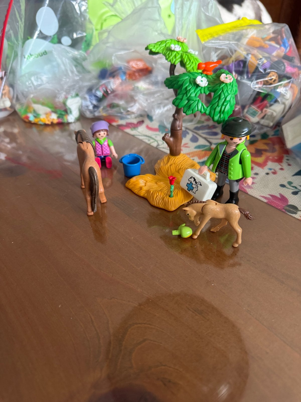 Playmobil Paardenverzorging met figuren en accessoires, Ophalen, Zo goed als nieuw, Jongen of Meisje