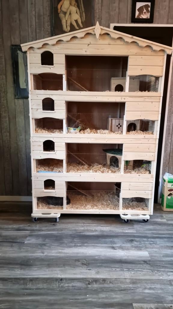 Caviaflat, Dieren en Toebehoren, Ophalen of Verzenden, 90 cm of meer, Hok, Cavia
