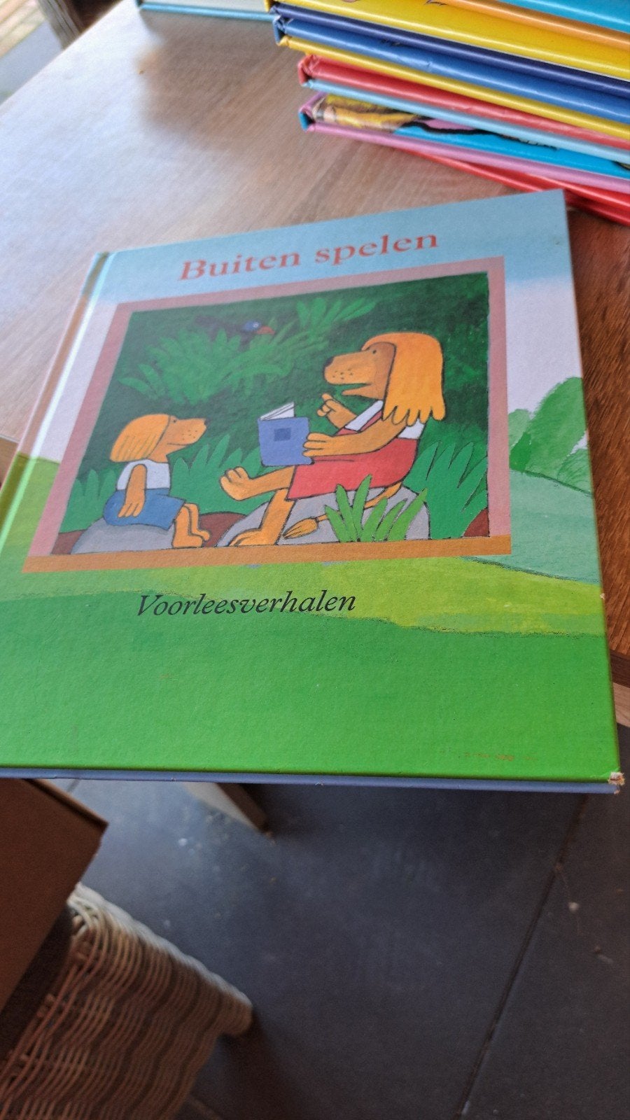 Buiten spelen - Voorleesverhalen (kinderboek), Gelezen, 5 of 6 jaar, Fictie algemeen, Jongen of Meisje