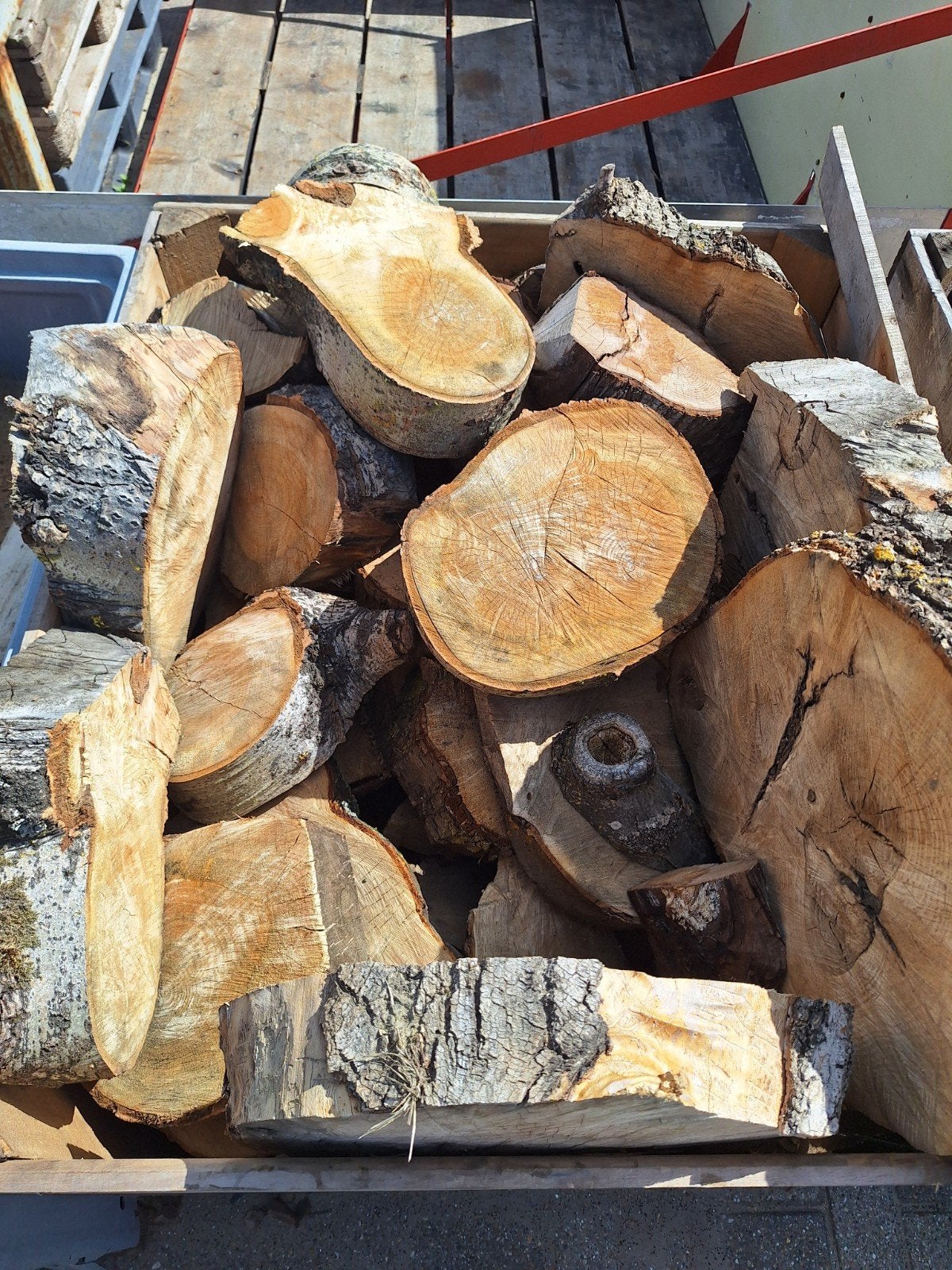 Decoratieve boomstamschijven - Diverse houtsoorten, Ophalen, Gebruikt, Minder dan 25 mm, Overige typen