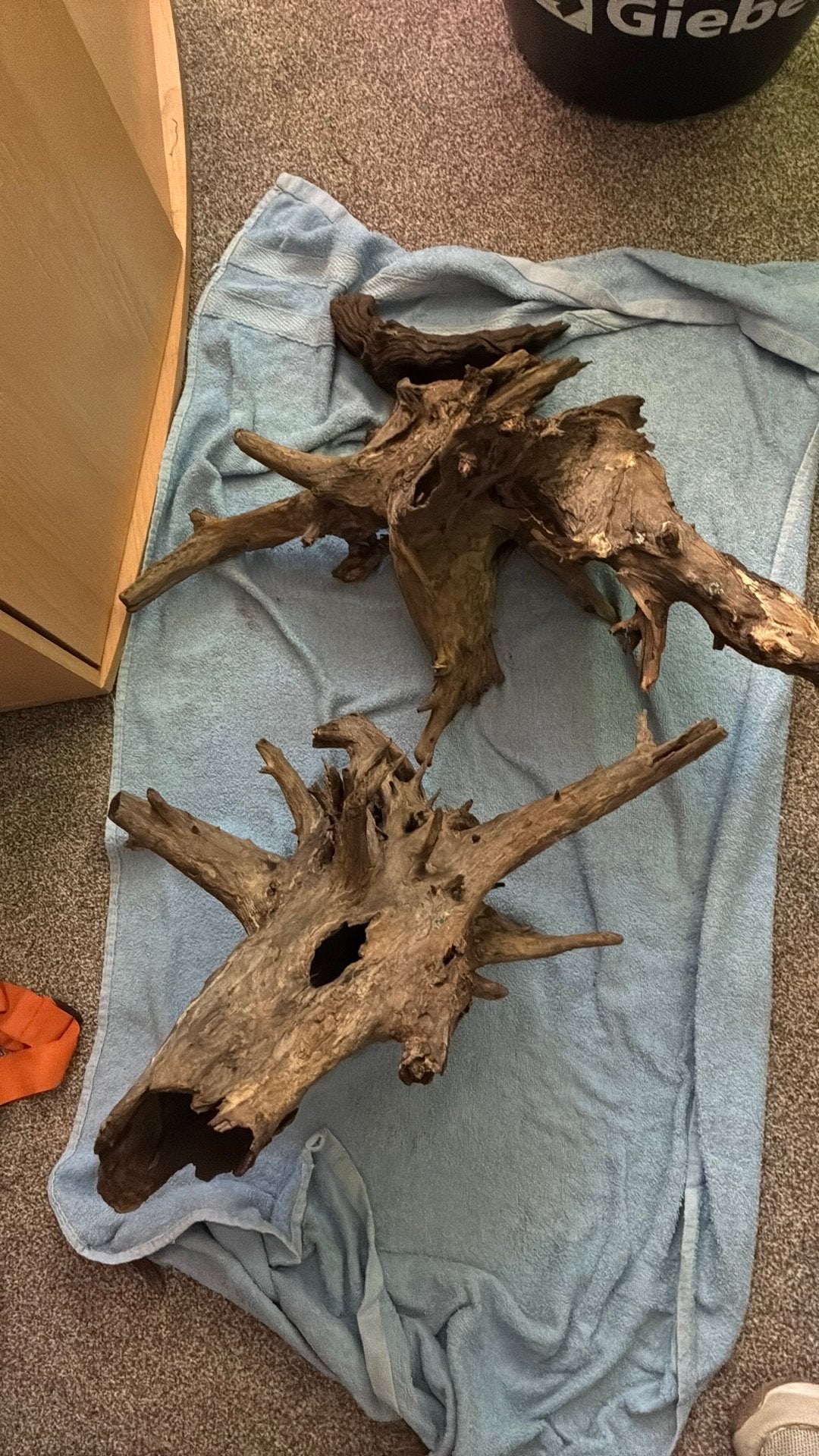 Hout voor de vijver of aquarium, Ophalen, Zo goed als nieuw, Plant(en), Steen of Hout