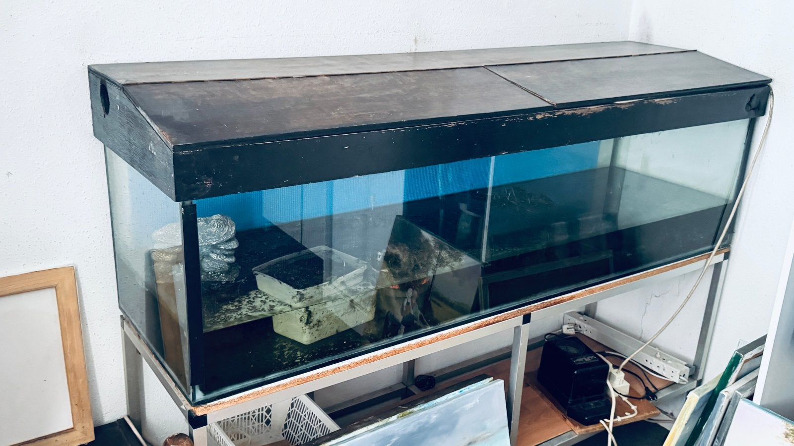 Aquarium met lampen en pomp, Ophalen, Inclusief deksel, Gebruikt, Leeg aquarium