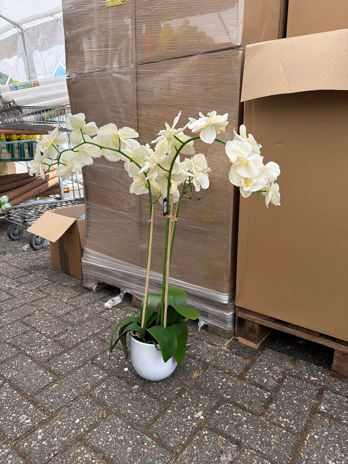 Restpartij van 32 stuks kunst Orchideeën Phalaenopsis, Ophalen, Overige soorten, In pot, Minder dan 100 cm