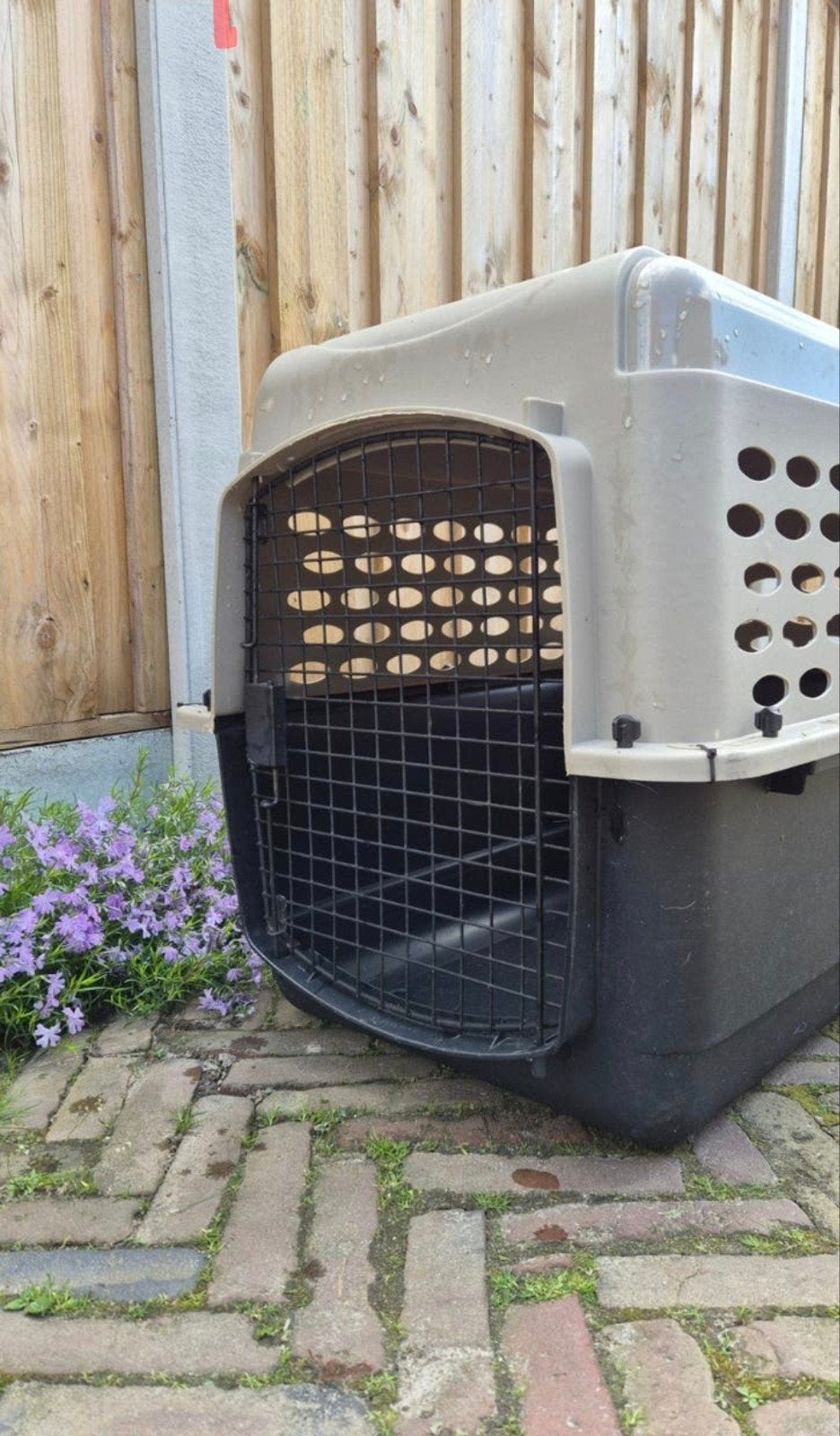 Mooie varikennel Ultra, Dieren en Toebehoren, Ophalen of Verzenden
