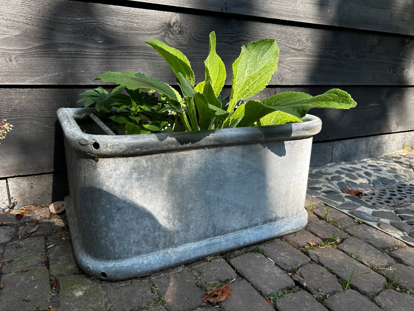 zinken paarden voerbak voor tuin of balkon, Ophalen, Gebruikt, Balkon, Metaal