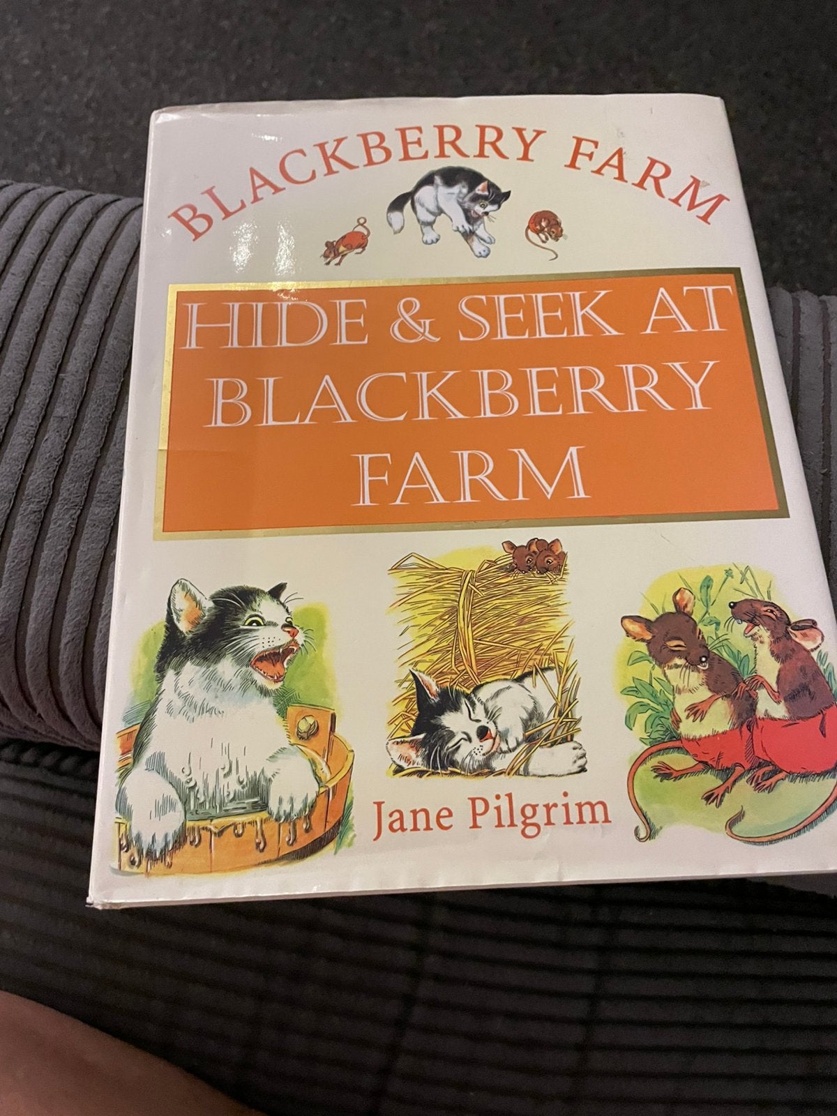 Hide & seek at blackberry farm Jane pilgrim Engels boek, Ophalen of Verzenden, Gelezen